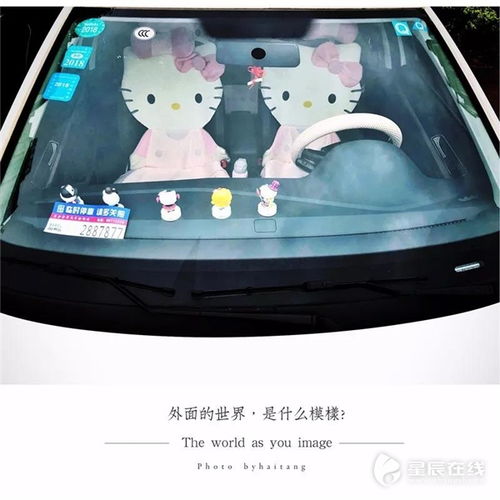 外面的世界,是什么模樣 萌哭你的車飾攝影