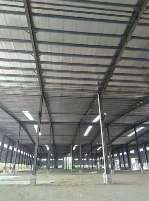 深圳市鋼結構夾層結構安全檢測鑒定單位技術咨詢今日新聞報道